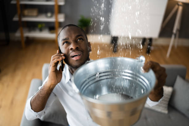 Best Flood damage cleanup  in Crowley, LA