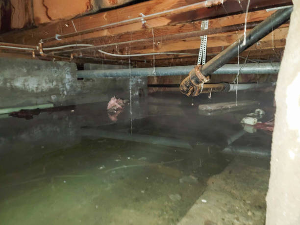 Best Sewage cleanup and water damage restoration  in Crowley, LA