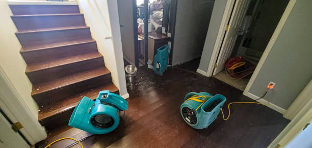 Best Water damage contractors near me  in Crowley, LA