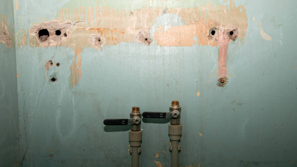 Best 24-hour water damage restoration  in Crowley, LA
