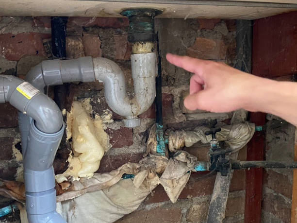 Best Flooded house restoration  in Crowley, LA